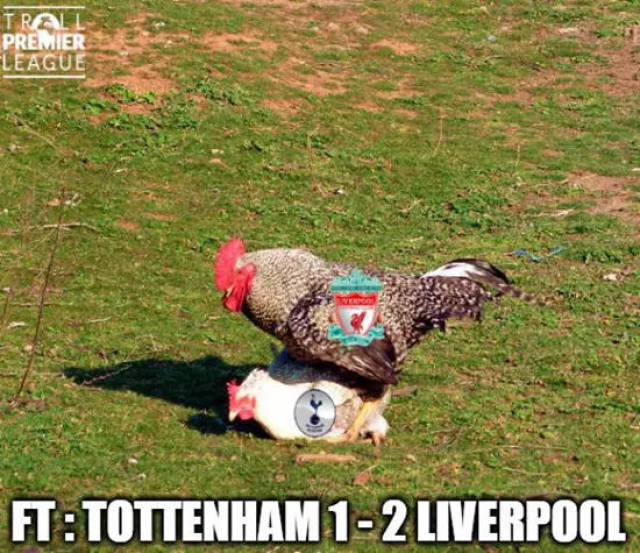 火箭1操作毁掉小阿里扎？3D王反成大漏勺 1特质反成短板（火箭此举坑了小阿里扎？昔日3D王沦为大漏勺，强项反成软肋）