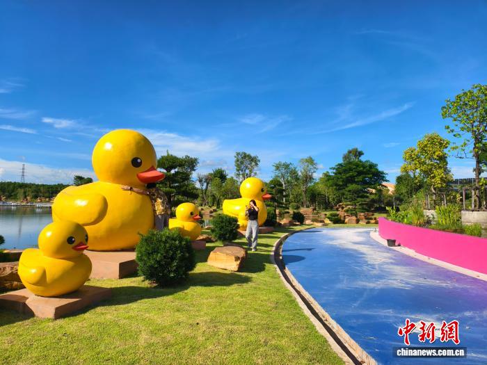 玩转赛场：MK体育1带你解锁观赛新姿势！ - MK体育1